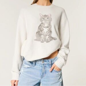 Hollister Comfy Cloud Kitten Crewneck Sweater